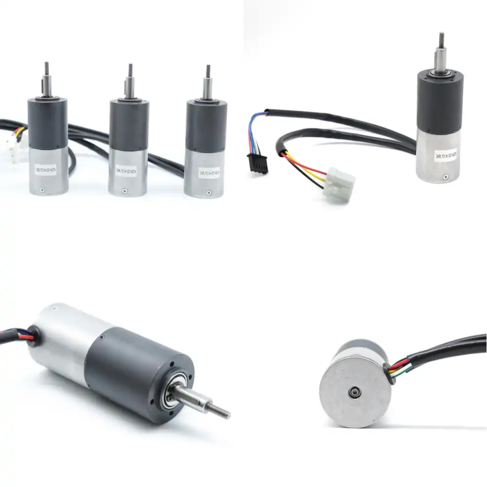 Bldc Planetary Gear Motor 48V High Torque - 36BLY01A-001AG76 for Lawn Mower Wheel High