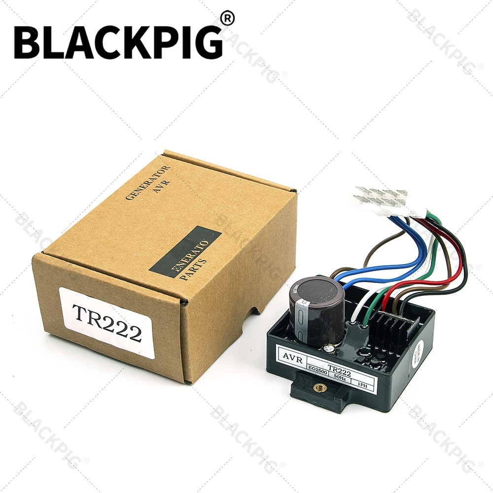 Cycloidal Reducer Bldc Motor - TR222 EG2500 AVR Automatic Voltage Regulator