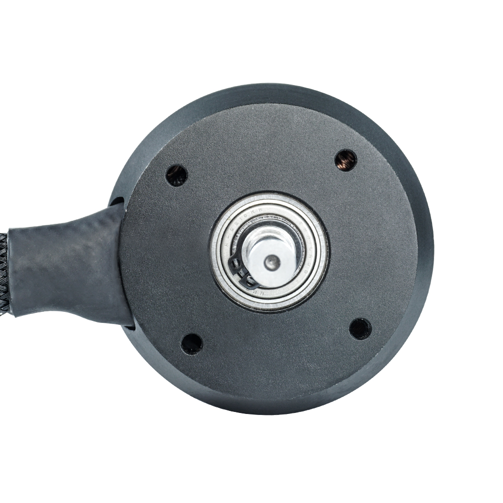Flipsky Sensored Outrunner Bru - 63100 Brushless Motor 140Kv 评论和价格