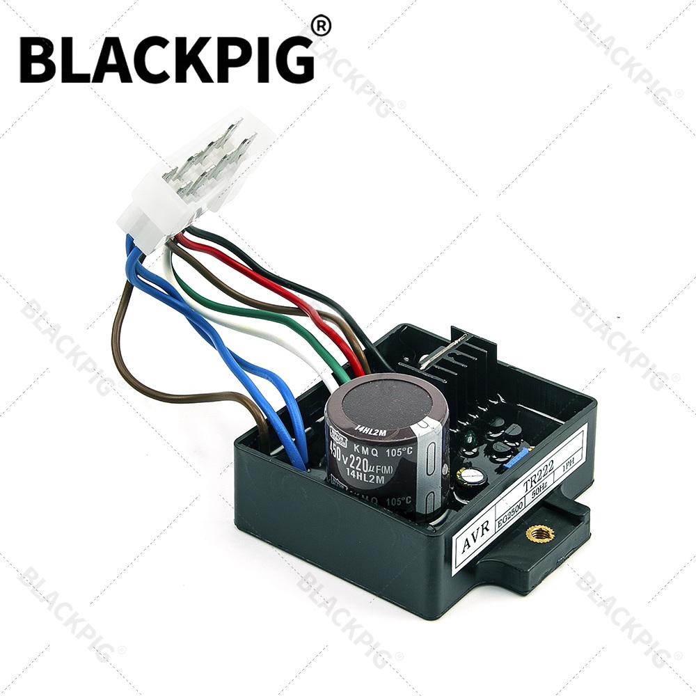 TR222 EG2500 AVR Automatic Vol - Cycloidal Reducer Bldc Motor 评论和价格